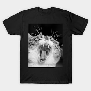 cat T-Shirt